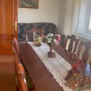 WhatsApp Video 2026-04-20 at 13.52.30-1