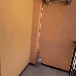 5771750899756047429-2