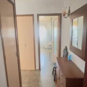 WhatsApp Video 2026-05-05 at 17.17.28-0