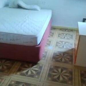 WhatsApp Video 2026-06-08 at 15.23.15-4 WhatsApp Video 2026-06-08 at 15.23.15-4