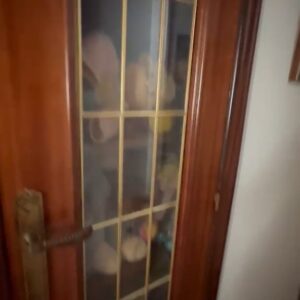 WhatsApp Video 2026-07-22 at 16.49.58-4