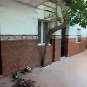 WhatsApp Video 2026-07-31 at 13.15.42-2 WhatsApp Video 2026-07-31 at 13.15.42-2