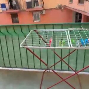 WhatsApp Video 2026-09-09 at 09.00.10-2 WhatsApp Video 2026-09-09 at 09.00.10-2