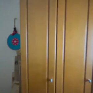 WhatsApp Video 2026-09-14 at 13.37.07-2 WhatsApp Video 2026-09-14 at 13.37.07-2