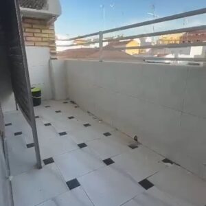 WhatsApp Video 2026-10-15 at 11.26.02-0