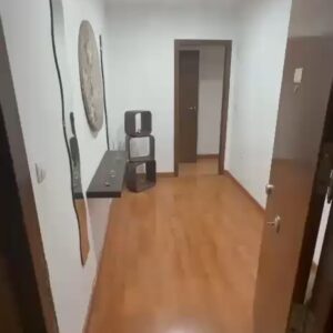 WhatsApp Video 2026-10-15 at 11.26.02-0
