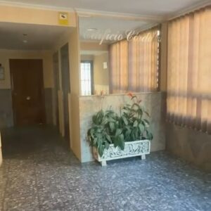 WhatsApp Video 2026-10-19 at 15.55.59-2
